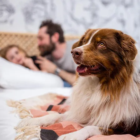 Mercure Parc Des Expositions ホテル ランス