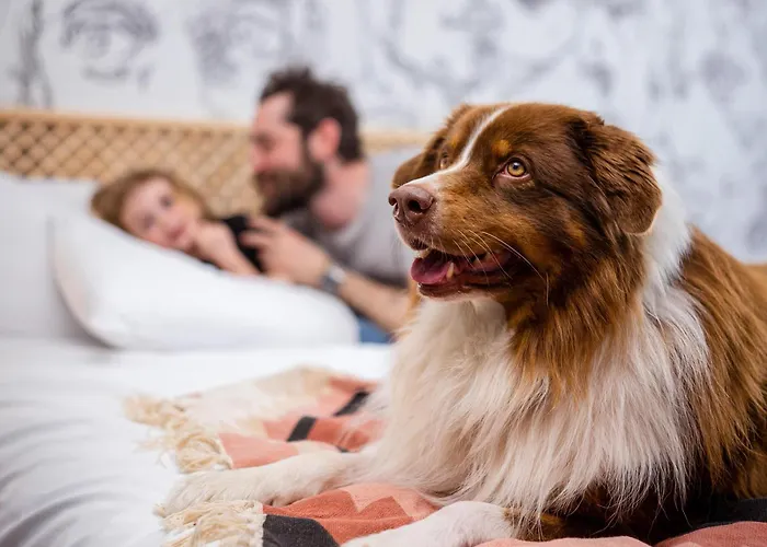 Mercure Parc Des Expositions Szálloda Reims